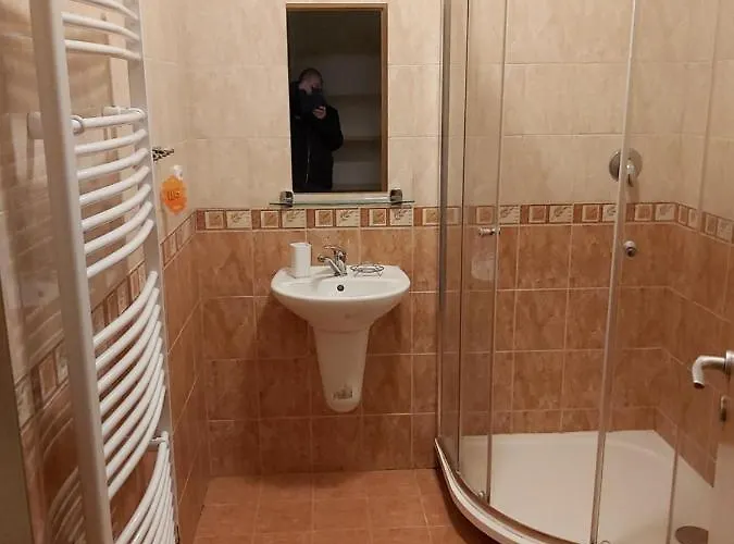 Гостевой дом Pavilon V Raji 3*