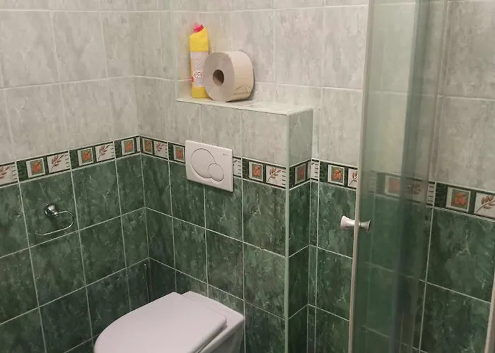 Гостевой дом Pavilon V Raji 3*