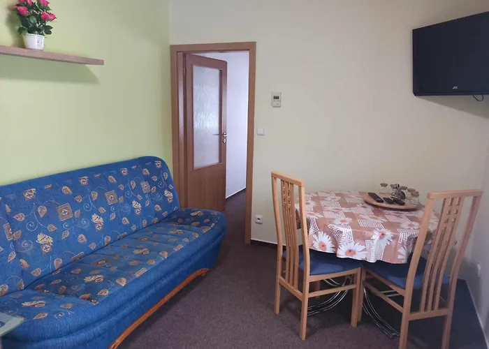 Гостевой дом Pavilon V Raji 3*